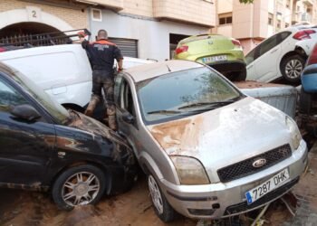 DANA PROTECCION CIVIL