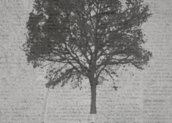 Pau Alabajos porta al CC Blasco Ibañez l’espectacle «Arbres de Pols»