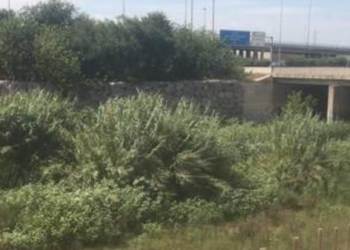 El PP exige la limpieza del barranco del Carraixet a su paso por Moncada