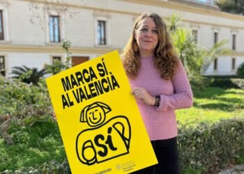 El ple aprova amb els vots de PSOE y Compromís una proposta en defensa del valencià a l’educació