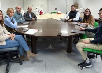 Bandadas de pájaros provocan el corte de suministro eléctrico en empresas del polígono 1 de Moncada