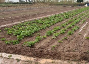 La lluvia aumenta el agua embalsada que abastece a la Real Acequia de Moncada