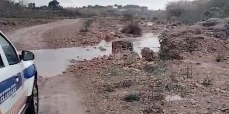 Última hora: pendientes del Carraixet y el jueves suspendidas todas las actividades