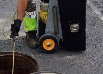 Moncada declara la guerra a las ratas