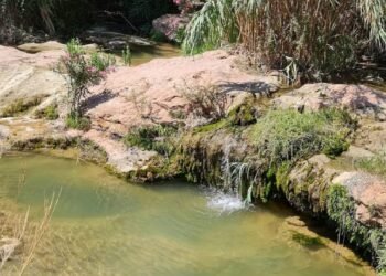 Trasladan al Hospital a un menor herido en una rodilla al caer en la charca de Moncada