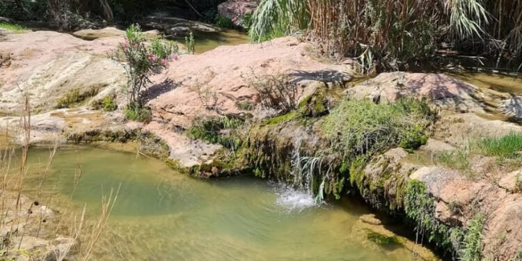 Trasladan al Hospital a un menor herido en una rodilla al caer en la charca de Moncada
