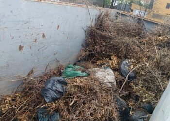 El ayuntamiento instala contenedores para la recogida diaria de poda en Masías