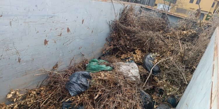 El ayuntamiento instala contenedores para la recogida diaria de poda en Masías