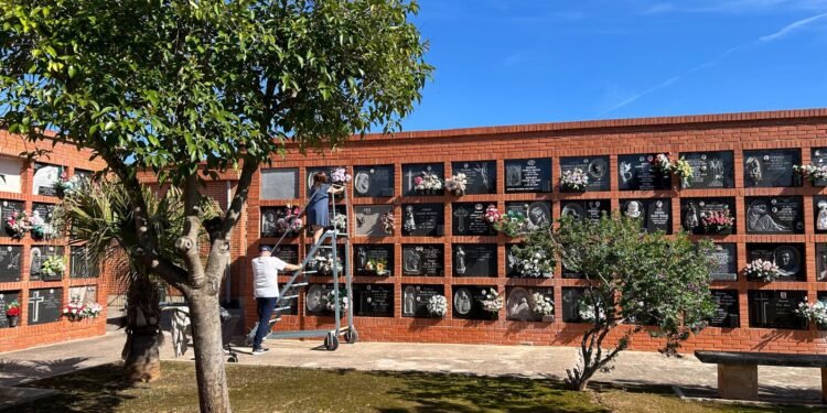 Los arreglos florales más vendidos en Moncada para el Día de Todos los Santos