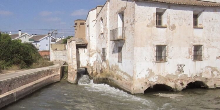 El molí més gran del Regne