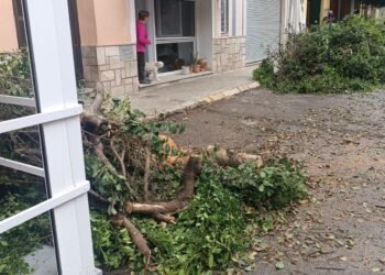 La dana Alice deja 112 l/m2 y el acumulado anual de 384 litros ya supera a todo 2024