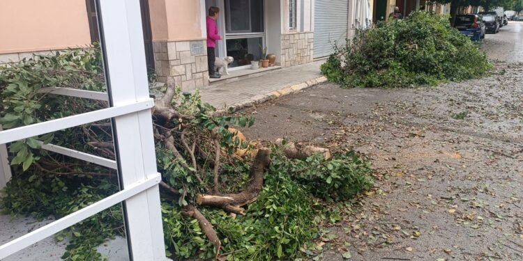 La dana Alice deja 112 l/m2 y el acumulado anual de 384 litros ya supera a todo 2024