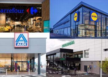 Aldi, Carrefour, Lidl y Mercadona los cuatro aspirantes al centro comercial de Moncada
