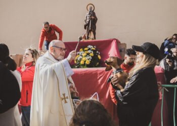 Busca’t en la benedicció d’animals de la festa de Sant Antoni del porquet
