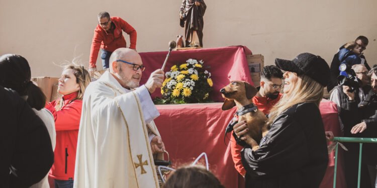 Busca’t en la benedicció d’animals de la festa de Sant Antoni del porquet