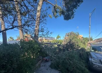 Este es el rastro que ha dejado en Moncada el temporal de vientos huracanados
