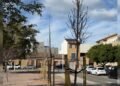 Alfara impulsa el verd urbà amb 35 nous arbres amb el projecte “Creixem junts”