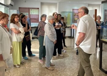 Gascó aposta per noves iniciatives per augmentar visites al Museu Arqueològic