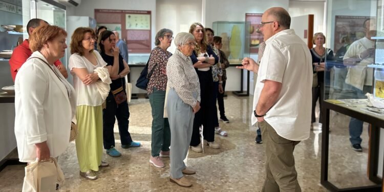 Gascó aposta per noves iniciatives per augmentar visites al Museu Arqueològic