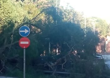 La policía local realiza más de una docena de intervenciones por el fuerte viento