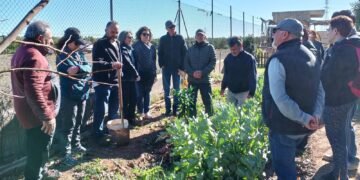 L’Associació Vida Silvestre celebra el dia de l’arbre amb una visita al Parc de la Natura