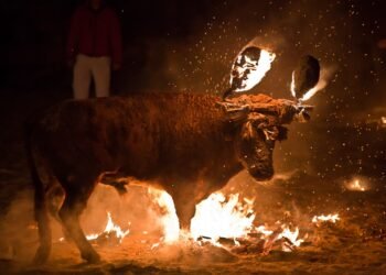 Taurinos y antitaurinos se posicionan ante el relevo en la alcaldía de Moncada