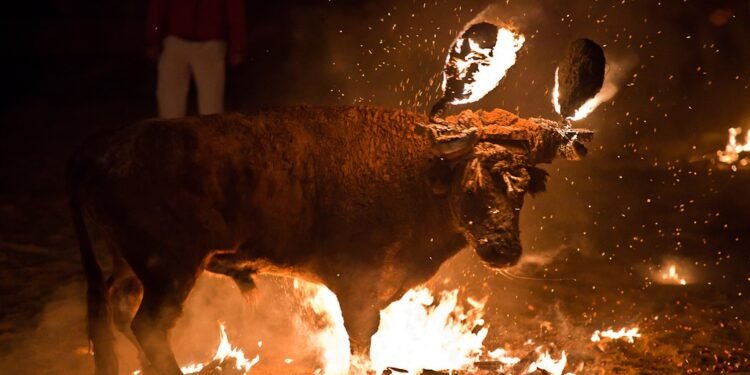 Taurinos y antitaurinos se posicionan ante el relevo en la alcaldía de Moncada