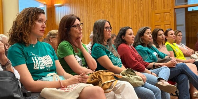 El ple aprova un moció de suport a la vaga educativa amb el vot de PSOE i Compromís