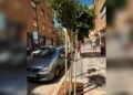 Medi Ambient planta 30 nous arbres en diferents punts de Montcada