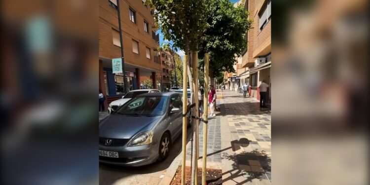 Medi Ambient planta 30 nous arbres en diferents punts de Montcada