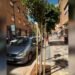Medi Ambient planta 30 nous arbres en diferents punts de Montcada