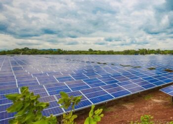 Carpetazo de la Generalitat al parque solar fotovoltaico del polígono 7 de Moncada