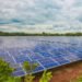 Carpetazo de la Generalitat al parque solar fotovoltaico del polígono 7 de Moncada