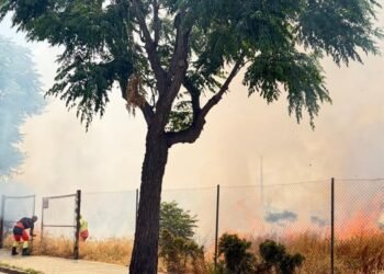 Dos incendios casi simultáneos en las calles Enrique Soriano y Vinalesa movilizan a Bomberos y policía local