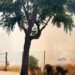 Dos incendios casi simultáneos en las calles Enrique Soriano y Vinalesa movilizan a Bomberos y policía local