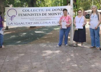 Dones Feministes exigeix al Constitucional que es pronuncie sobre la Llei Trans