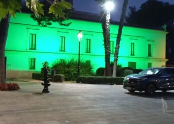 Moncada ilumina de verde el ayuntamiento para dar visibilidad a la miastenia