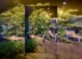 Un árbol se desploma en una cafeteria de la estación de Seminari sin causar heridos