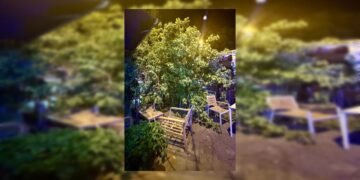 Un árbol se desploma en una cafeteria de la estación de Seminari sin causar heridos