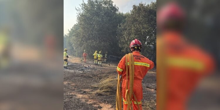 Incendio de la Vall d’Uixó | Protección Civil Moncada se suma a las tareas de extinción