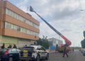 El rescate de un águila atrapada en una antena moviliza a bomberos y policía