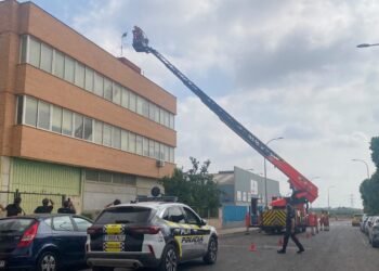 El rescate de un águila atrapada en una antena moviliza a bomberos y policía