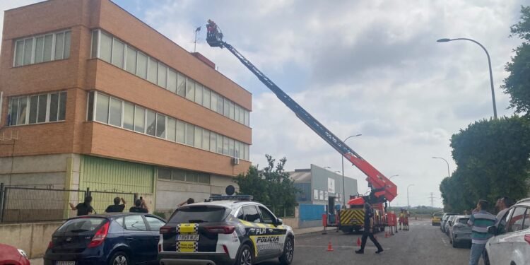 El rescate de un águila atrapada en una antena moviliza a bomberos y policía