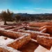 El CAM premiarà el millor poema simfònic sobre el Tòs Pelat a ‘Montcada Sona’