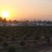 Llegó el día, Moncada vivirá hoy su primer eclipse de sol total del siglo