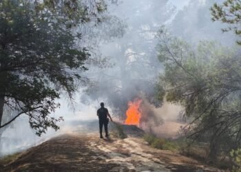 Tres conatos de incendio en la zona del Tos Pelat moviliza a bomberos y policía local