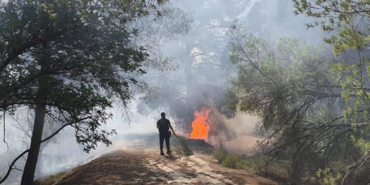 Tres conatos de incendio en la zona del Tos Pelat moviliza a bomberos y policía local