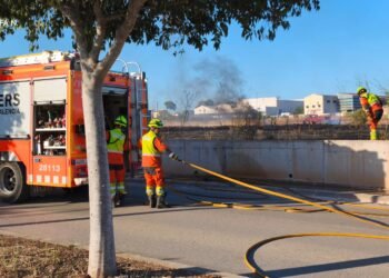 Incendio de matorrales entre el Camí de la Pelosa y la calle 130