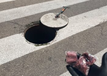 Moncada refuerza los trabajos de control de plagas por las altas temperaturas