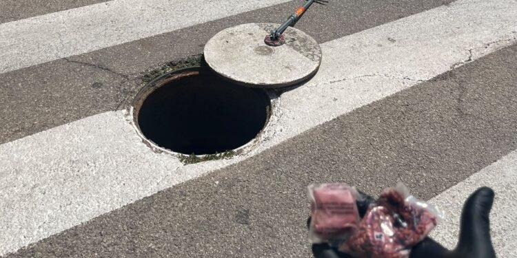 Moncada refuerza los trabajos de control de plagas por las altas temperaturas